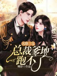 天降三宝总裁爹地跑不了免费阅读无弹窗