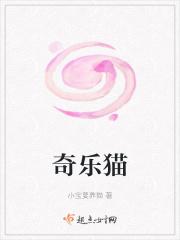 奇乐猫官方网站入口