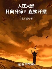 火影讲的是什么