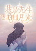 我是先生的二婚夫人果断逃婚免费阅读