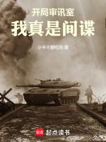 开局审判女犯人的游戏