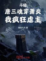 唐三穿越斗气大陆斗破苍穹吧