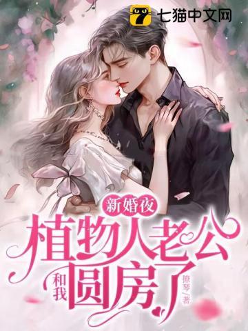 新婚当日植物人老公醒了