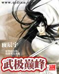 武极巅峰全集