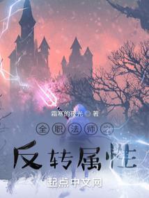 全职法师之反转属性叶陈风超阶觉醒什么