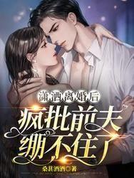 潇洒前夫后悔了讲的什么