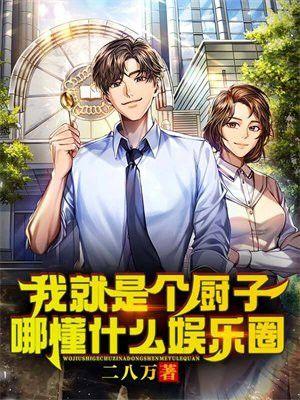 我只是厨师