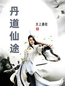 丹道仙途全集