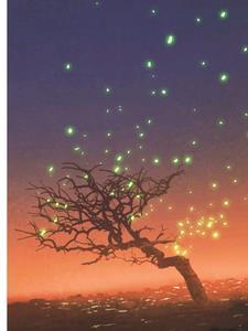 紫薇数据服务器好用吗