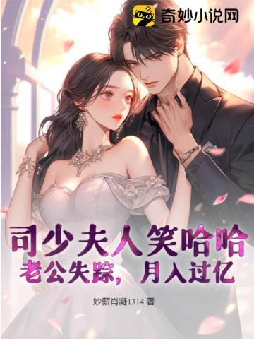 夫人又跑了这本书