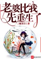 老婆比我先重生了女主不是处