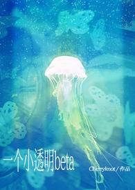 小透明beta被痴汉包围全文免费