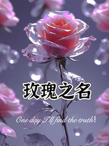 暗夜行动1-40集