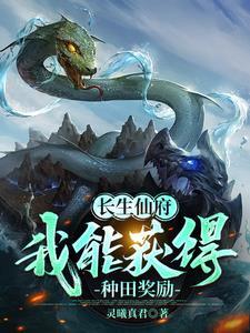 长生仙婿