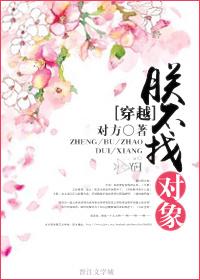 朕不找对象gl
