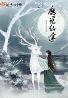 觅仙途攻略