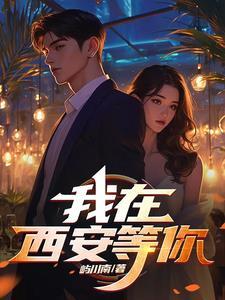 我在西安等你TXT全本