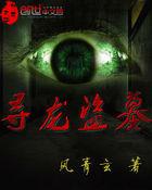 寻龙盗墓笔记有声
