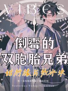 双胞胎兄弟打架视频