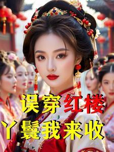 穿越红楼丫鬟异能