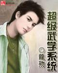 超级武馆系统