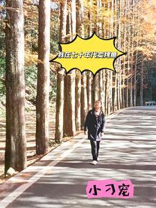 我在七十年代好吃