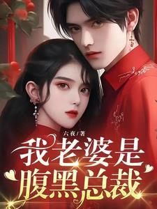 我的老婆是总裁免费阅读全文