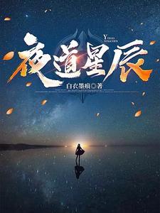 夜星辰主角名字