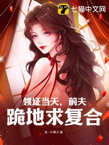 结婚前夫来闹