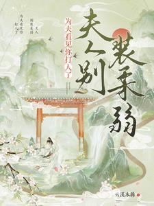 为夫看见你打人了