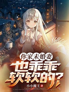 未婚妻你好
