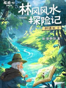 林风寻宝