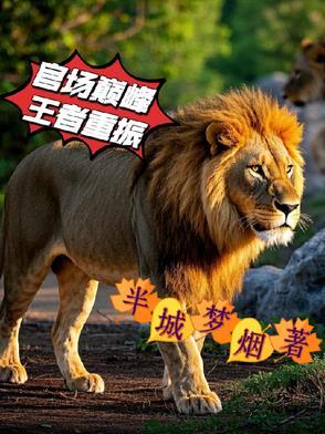 官场巅峰最新章节列表