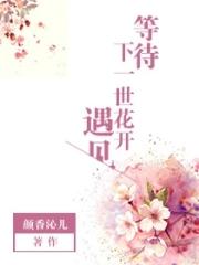 等下一次花开