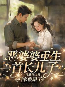恶婆婆重生首长儿子归家傻眼了 目录共133章