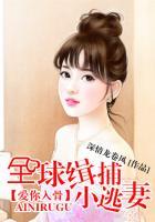 全球追捕小逃妻免费阅读