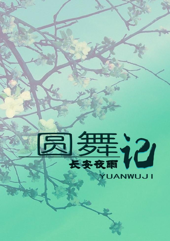 圆舞记录
