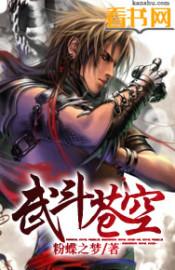 武道天下作者 邪影