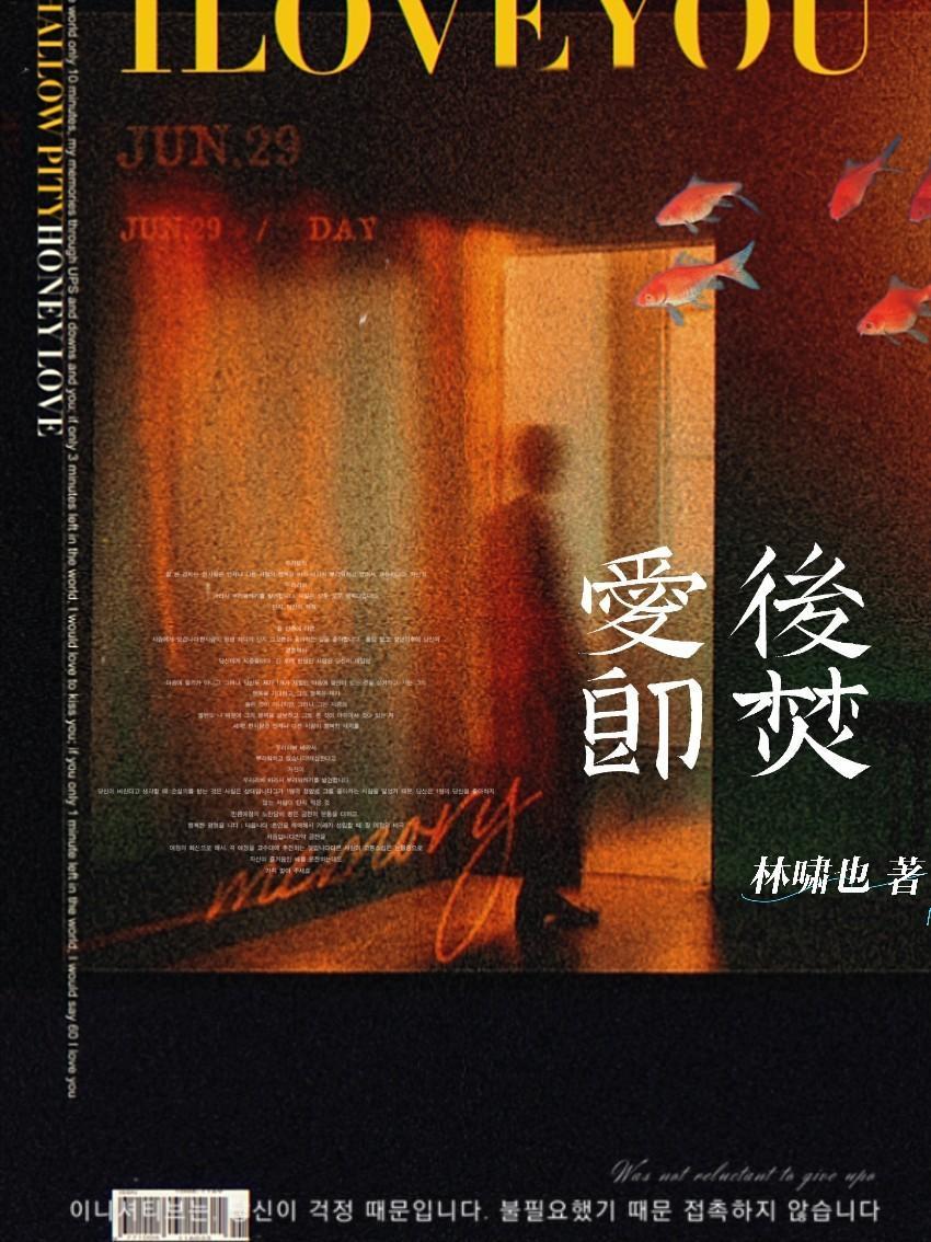 爱后即焚by林啸也txt