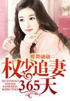 权少追妻攻略完整版