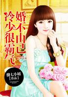 婚不由己烟花易冷