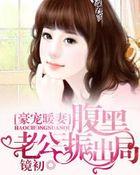 豪门暖婚老公太腹黑