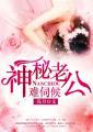 神秘老公惹不得免费阅读