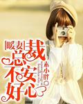 总裁坏透了