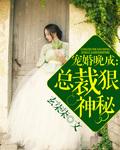 宠婚成瘾总裁的免费阅读