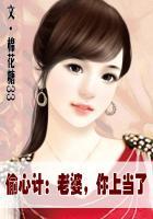 老婆偷你上瘾免费阅读