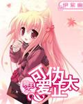 网王之伪善萌系猫娘