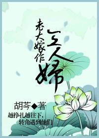 老大嫁作三人妇txt