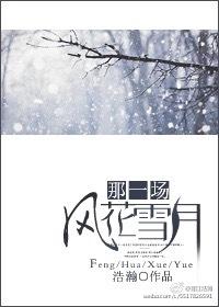 那一场风花雪月的事 电视剧