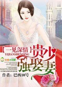 一见深情顾少请负责全文